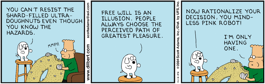 zelfcontrole in beslissingen