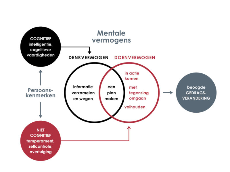 Denkvermogen-doenvermogen